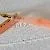 Pelikan M200 Apricot Achat
