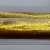 Pelikan M200 Gold-marbled
