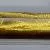 Pelikan M200 Gold-Marmoriert

