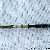 Pelikan M250 (Old Style) Klar transparent
