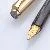 Pelikan M30 Schwarz Rolled Gold
